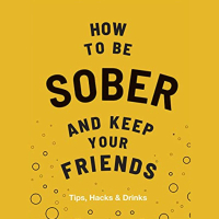 9. How to be Sober and Keep your Friends by Flic Everett