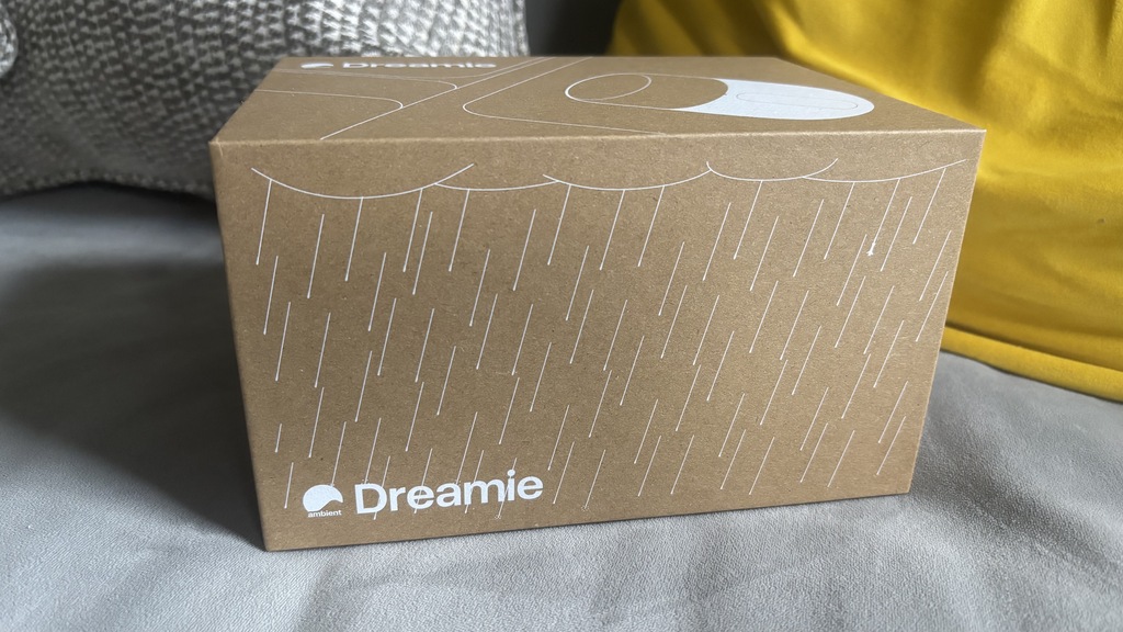 The Ambient Dreamie in its shipping box.