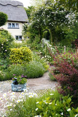 a fully bloomed cottage garden with a path and patio area in the middle, next to a thatched white/yellow cottage