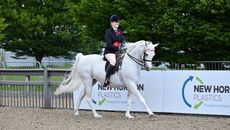 Noor Al Noufous and Jade Bermingham canter from the arens as 2026 royal Windsor Arab under saddle champions