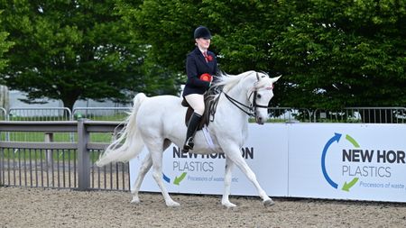 Noor Al Noufous and Jade Bermingham canter from the arens as 2026 royal Windsor Arab under saddle champions