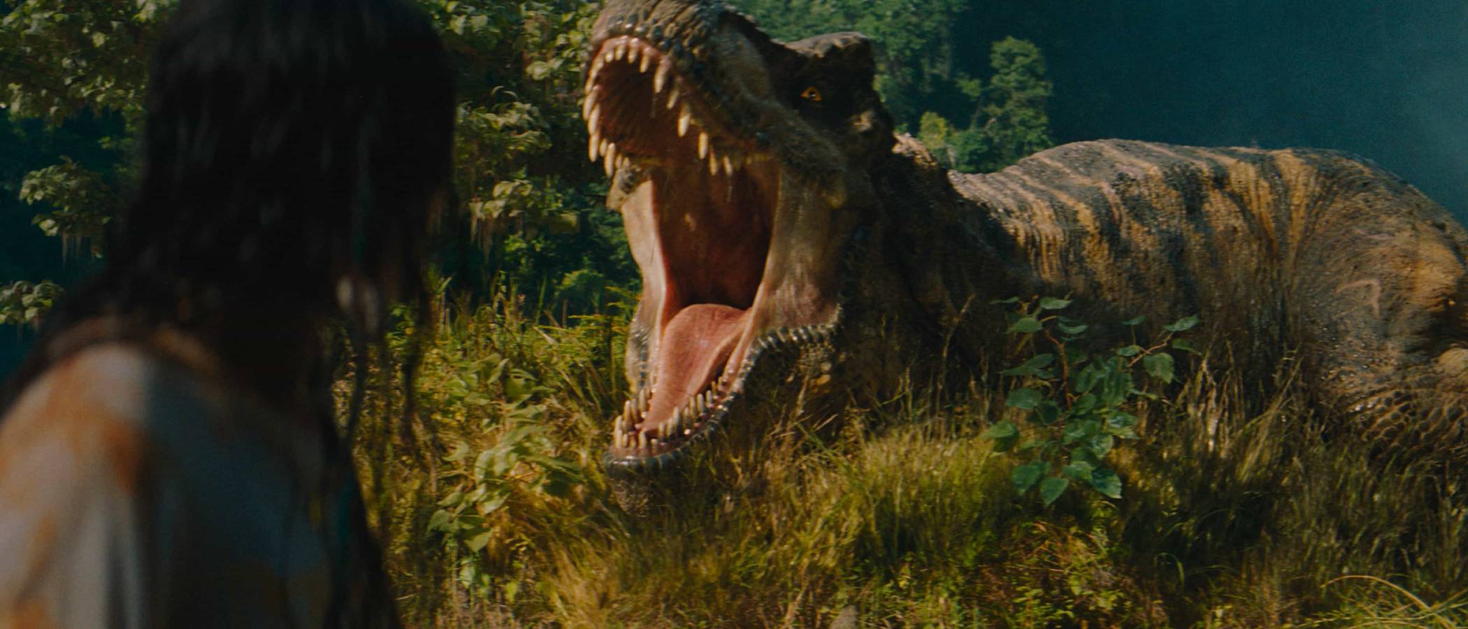 A T-Rex in Jurassic World Rebirth.