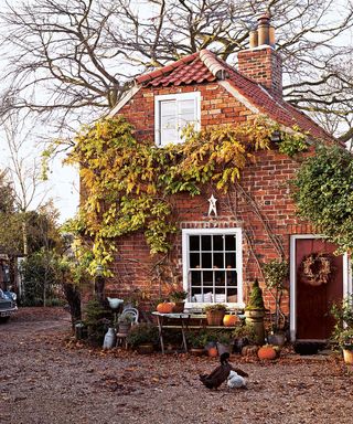 Old brick house with white window