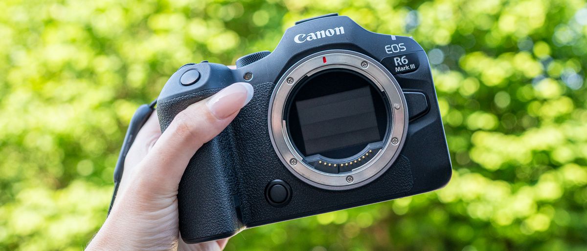 Canon EOS R6 III review: A wildlife wonder | Live Science