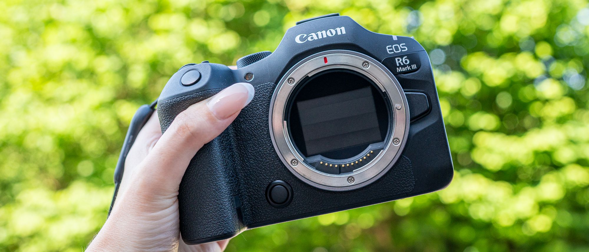 Canon EOS R6 III review: A wildlife wonder
