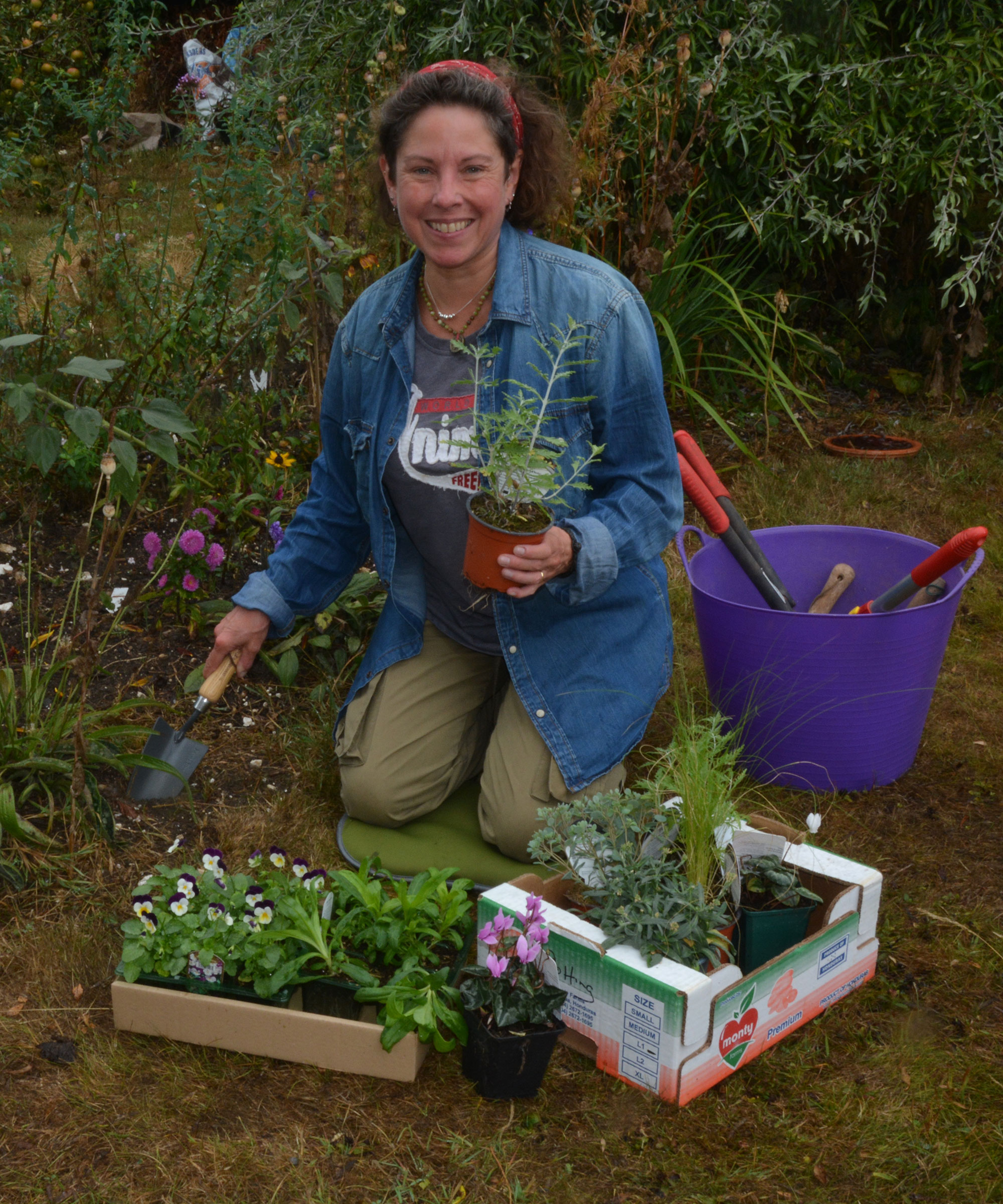 How to sharpen your tools  Organic Gardener Magazine Australia