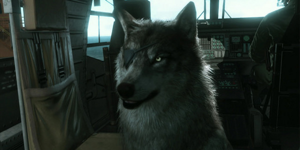 can your dog die in metal gear solid 5