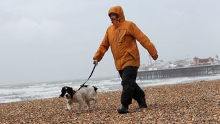 Man walking dog on beach in wild and wet weather