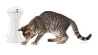 PetSafe FroliCat Multi-Laser Cat Toy:  £23.99 at Amazon