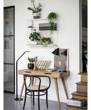 Wooden desk with black desk lamp and houseplants by Pooky