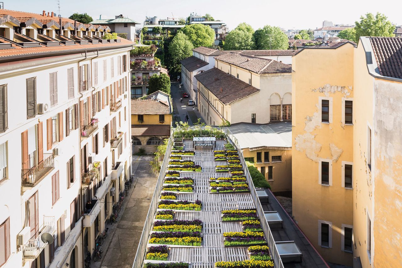 view of Piuarch&#039;s urban garden in Milan