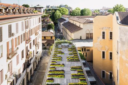 view of Piuarch's urban garden in Milan