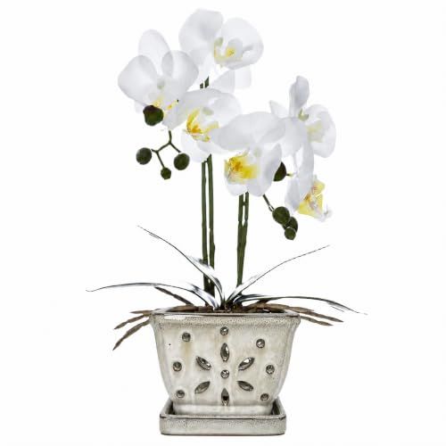  Ceramic Orchid Pot 