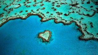 An aerial view of the Great Barrier Reef