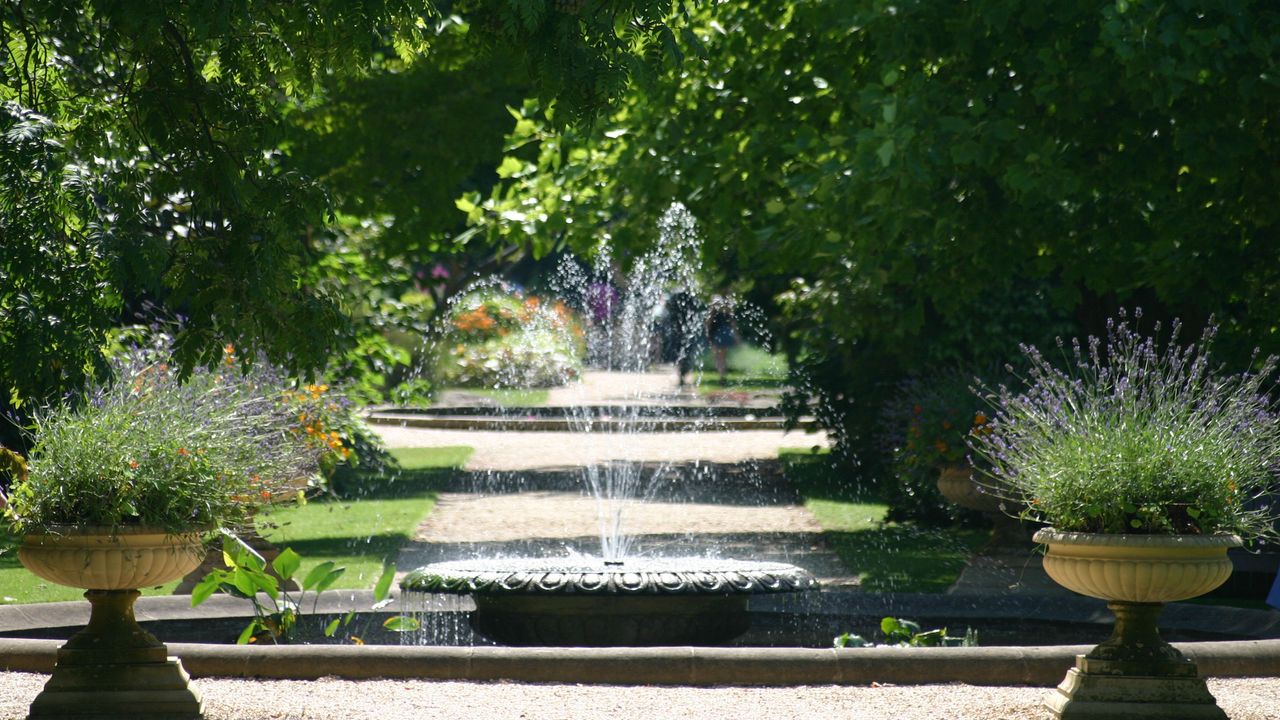 Water feature along path with green trees