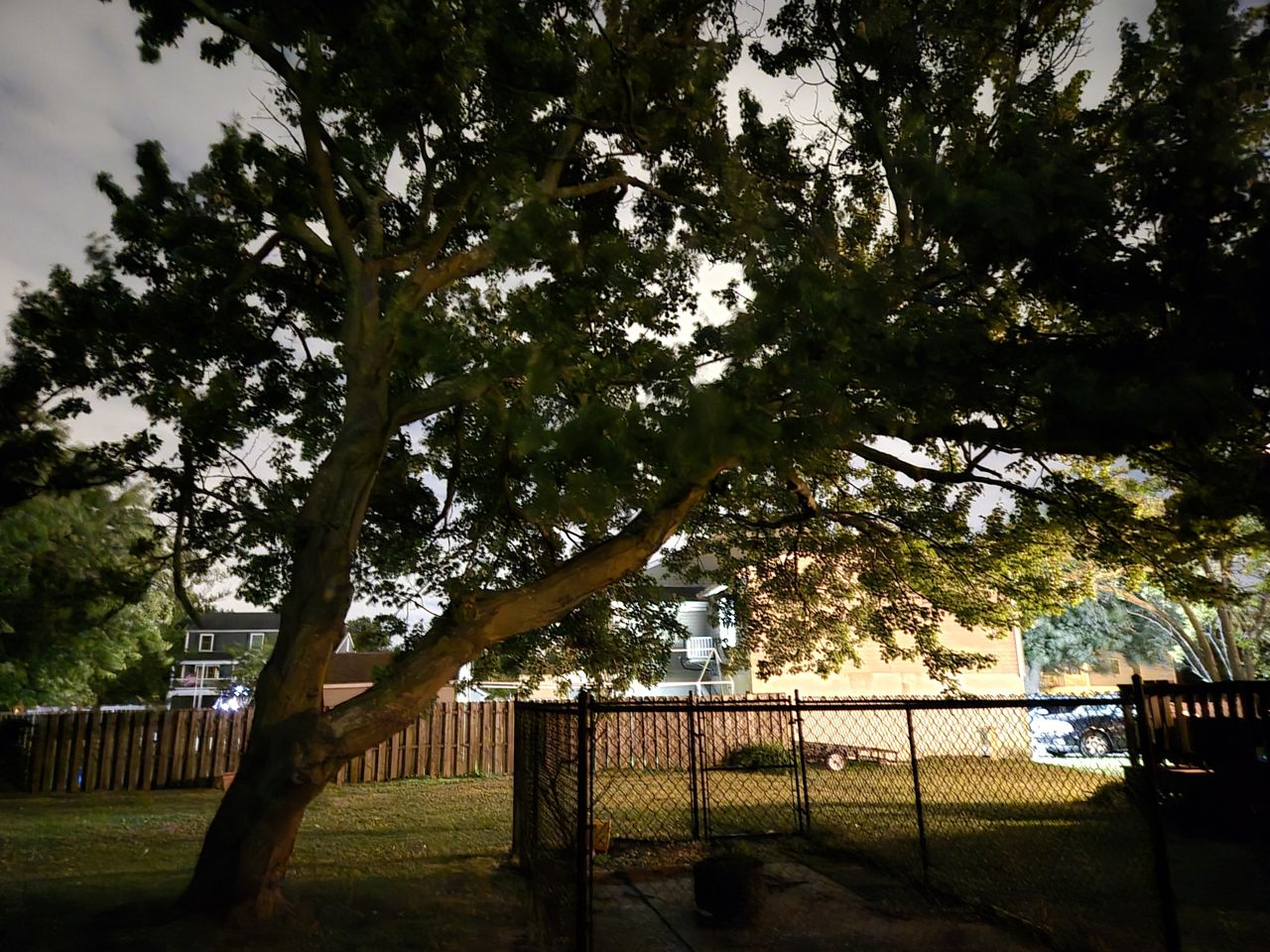 Samsung Galaxy S24 Plus low light sample.