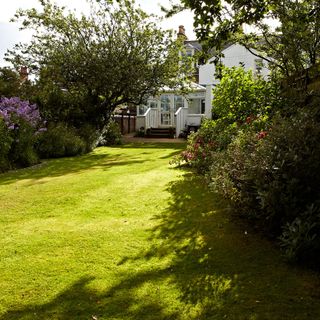 Grass lawn in garden surrounded by border planting