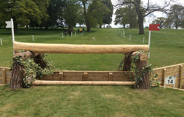 Badminton Fences 2017