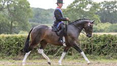 First of 10 coloureds who bagged at triclour at the 2025 Royal International: Lostock Up Till Dark and Harrison Taylor are supreme coloured.