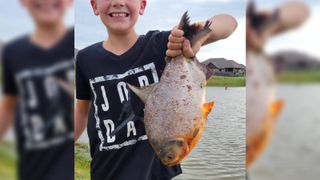 a boy holds up a fish in front of a pond.