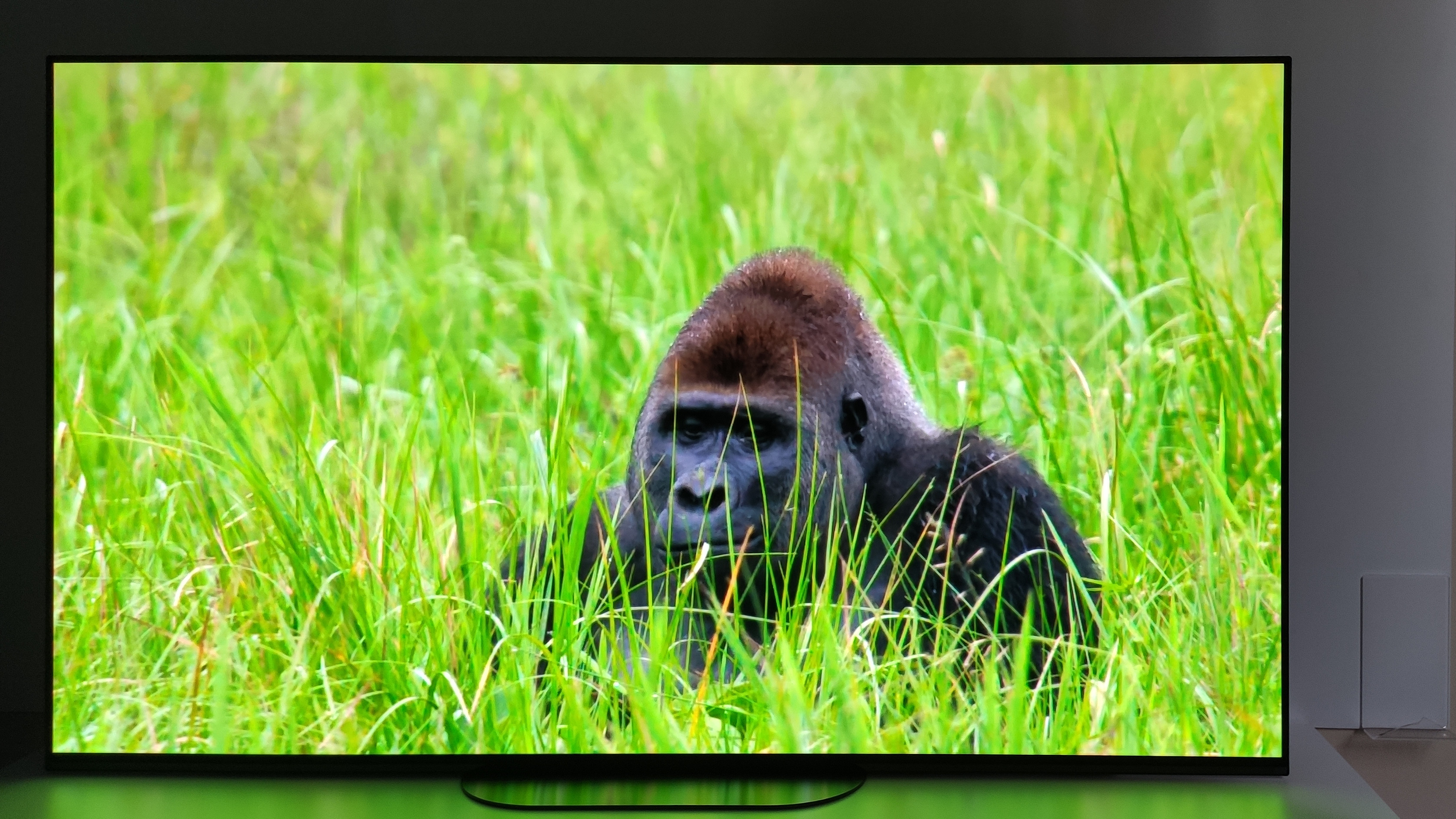 Sony AG9 OLED