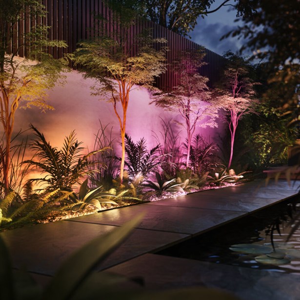Philips Hue Amarant