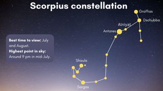 graphic illustration of the Scorpius constellation with some of the brightest stars including Antares labelled.