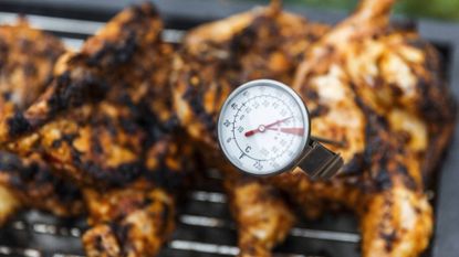 Can You Leave A Meat Thermometer In The Meat While It's Cooking