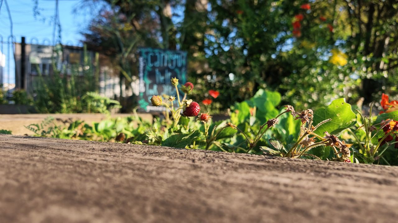 DJI Osmo Pocket 4P sample photos