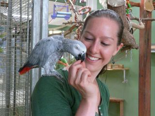 Researcher Sandra Mikolasch, pictured here, says the research is reason to treat animals with respect. She did the experiment at a bird rescue facility, and many of the parrots had endured terrible conditions before being taken in by the facility.