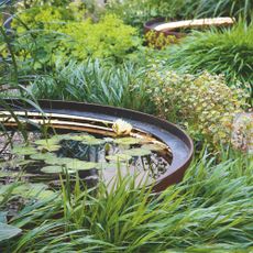 Pond with lily pads surrounded by plants in garden