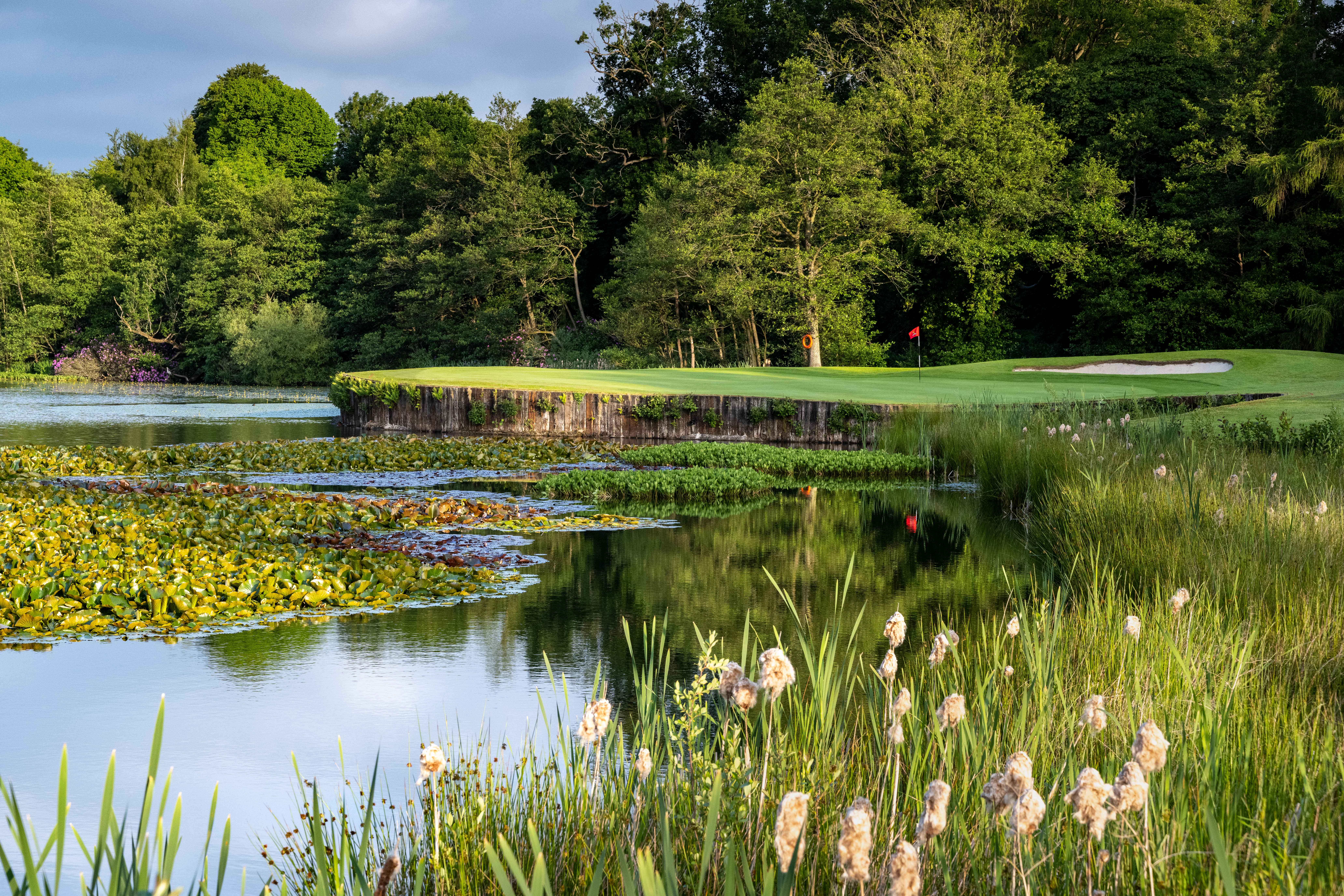 The 15th green at Malone Golf Club
