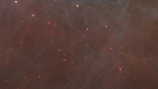 A close-up view in visible light shows many brown dwarf stars encompassed in the Orion Nebula.