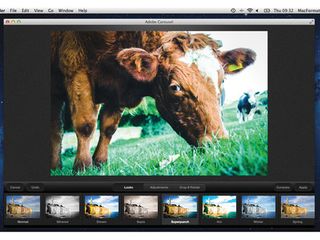 The editing tools offer some attractive, nondestructive options, but overall they're very basic