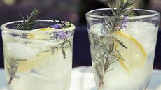 Two summer cocktails, with sprigs of mint and slices of lemon.