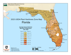 USDA Plant Hardiness Zone Map for Florida