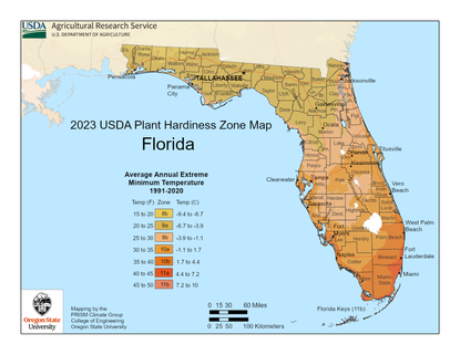 Map Of USDA Growing Zones For Florida | Gardening Know How