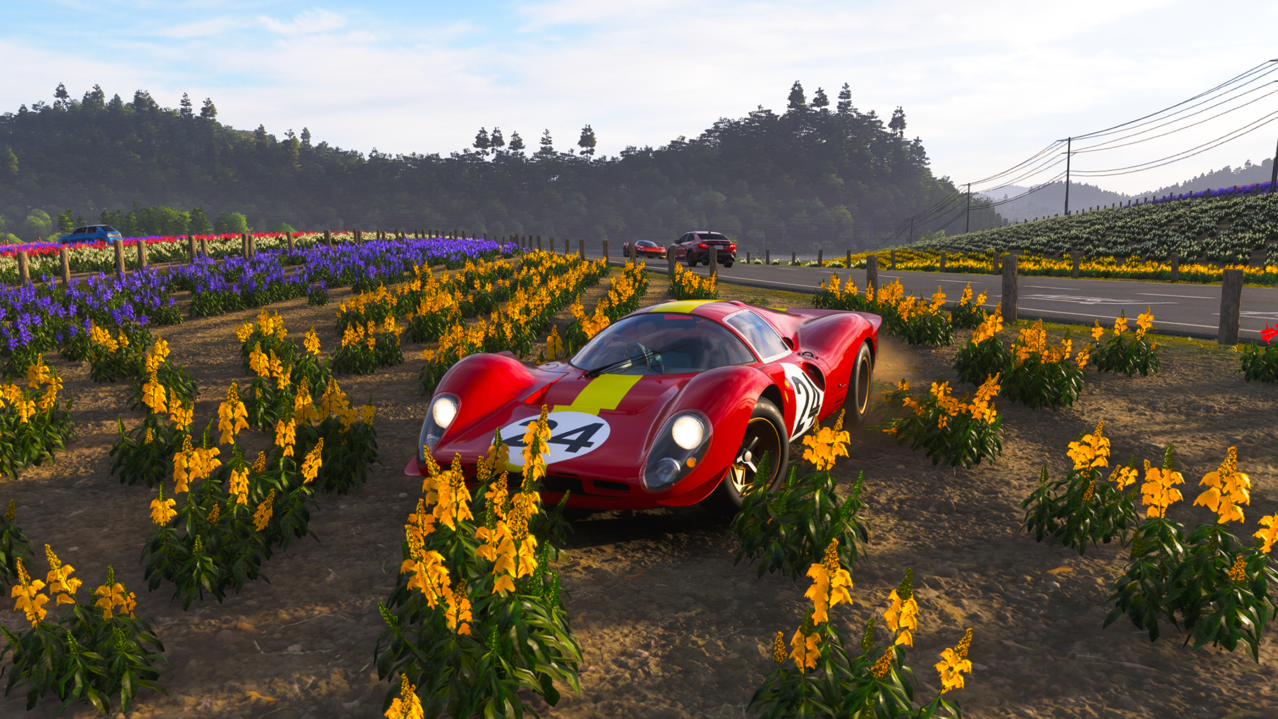 Forza Horizon 6 Petal Power: A front-on view of a classic Ferrari parked in Shikisai-no-Oka flower field.