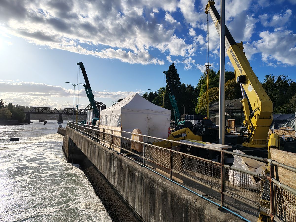 Construction machinery next to a body of water