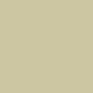 Light khaki paint from Benjamin Moore