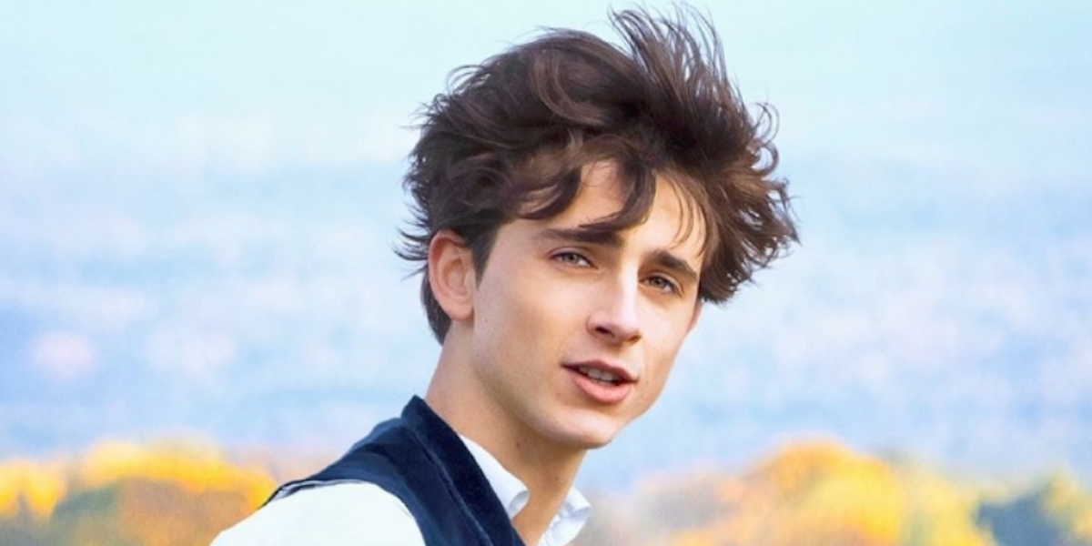 Timothee Chalamet in Little Women