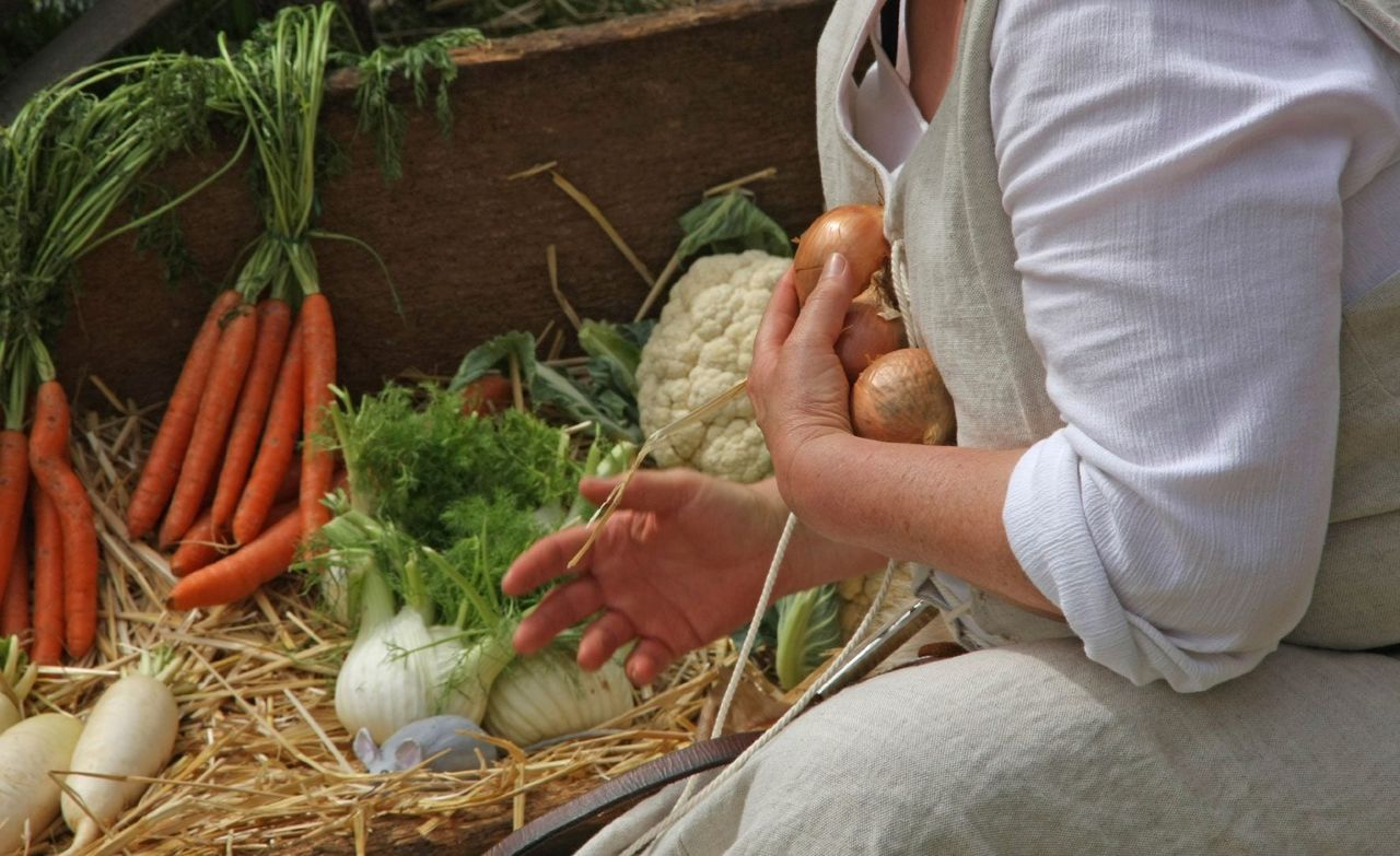 Gardener Handling Heirloom Vegetables