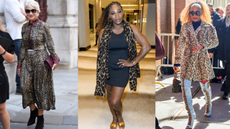 Helen Mirren, Serena Williams, Mel B - wearing animal print