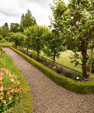 Long garden ideas with a gravel pathway lined by low box hedges and small fruit trees.