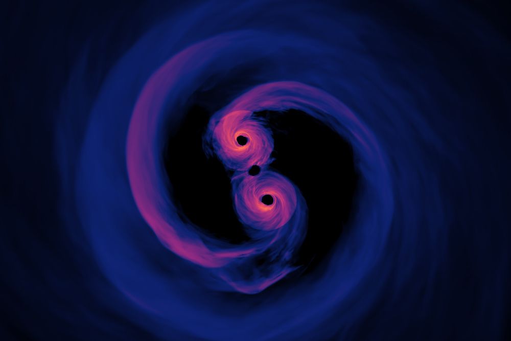 This visualization shows two merging black holes, whose great speed could provide a boost to laser light swinging around them.