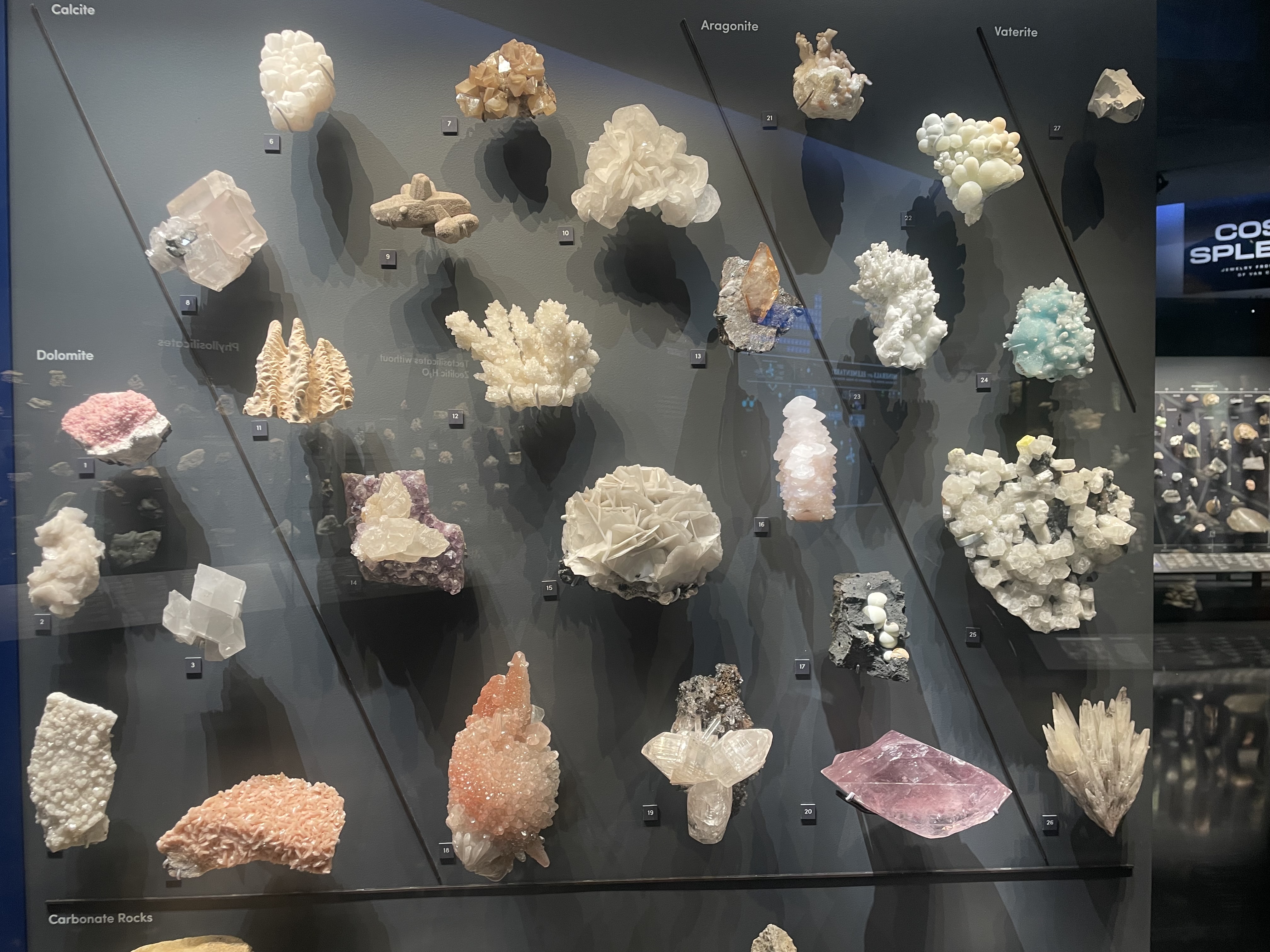 A bunch of different minerals displayed on the wall.
