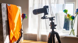 A picture showing the set up with the camera, macro lens, focus rail and tripod set up on the right of the frame, and the rainbow rose held in front of an orange paper background on the left, held in place by a plamp