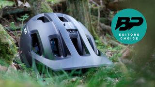 A bike helmet nestling in the undergrowth