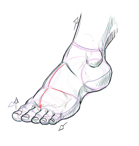 How to draw feet Creative Bloq