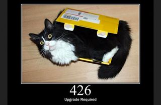 HTTP Status Cats